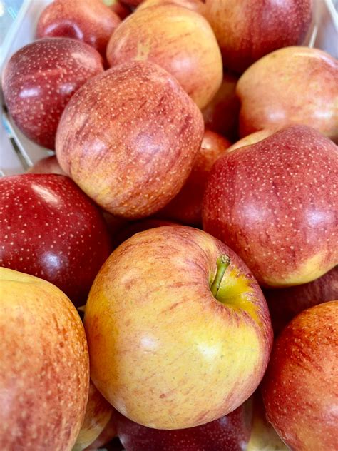 New youth programs are launching at bethany baptist church soon 13