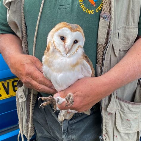 Forestry and Conservation - The Montreal Estate
