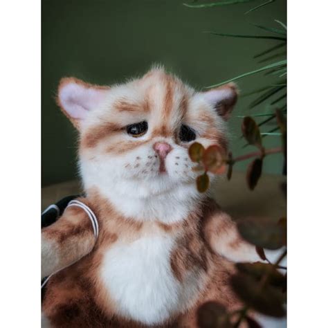 Ginger Plush Kitten - Inspire Uplift