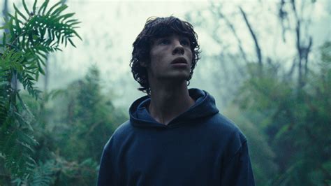 The Animal Kingdom – Ssr Movies