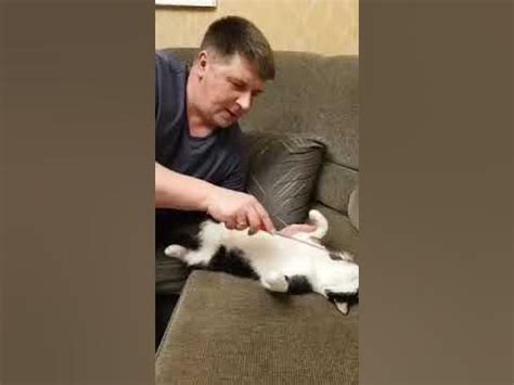 Вечерний моцион - YouTube