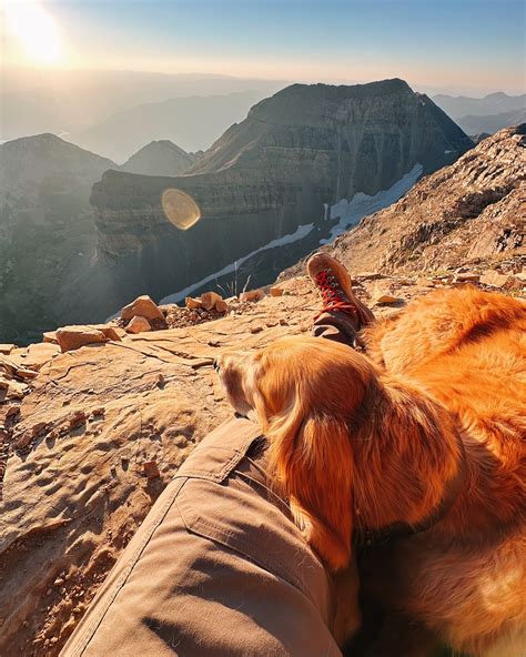 Nala Fitness: What The Company Doesn't Want You To Know! Image 15