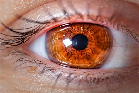 How Refractive Cataract Surgery Improves Vision