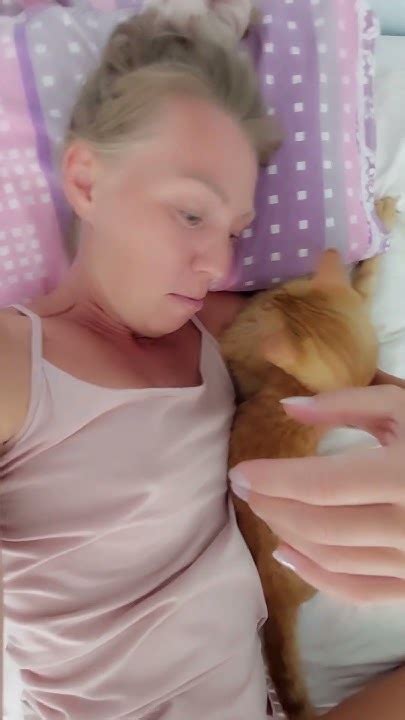 Турецкие коты . Уличный турецкий кот пришёл ко мне спать #котик #турция ...