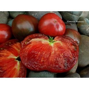 Шарбоньер дю Берри (Charbonneuse du Berry)