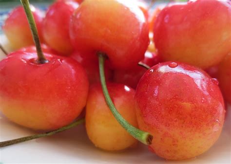 rainier cherry alan ilagan