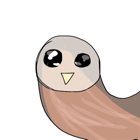 Hooty - ibisPaint