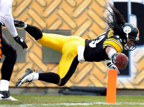 Pittsburgh Steelers want Troy Polamalu to retire