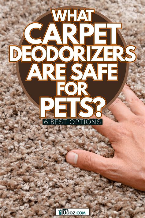 carpet that is good for pets 6