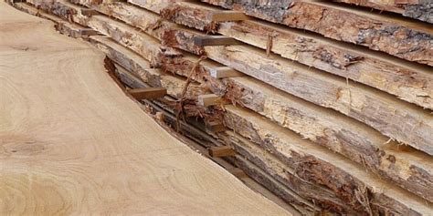 Properties of Oak - Hardwoods Group