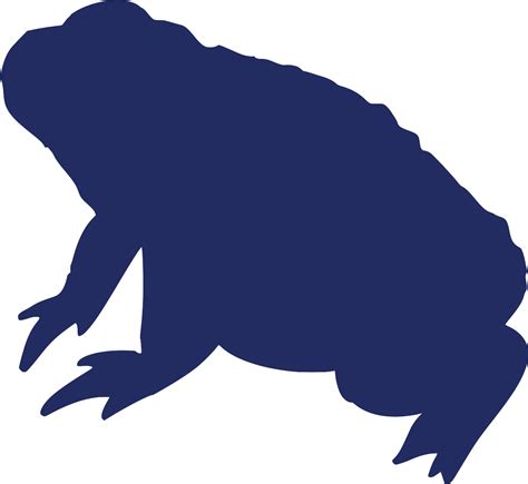 SVG > амфибия лягушка - Свободное изображение и значок SVG. | SVG Silh