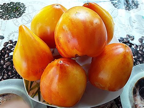 Семена: Томат Ананасное бычье сердце (биколор) /Pineapple Oxheart ...
