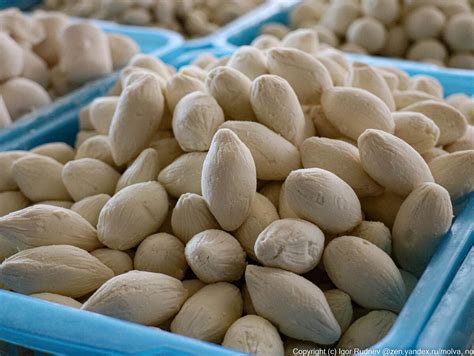 Что такое узбекский курт? Курт широко распространен в национальных ...