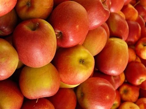 Безкоштовна картинка: Натюрморт, продовольчої, фрукти, apple, дієта ...