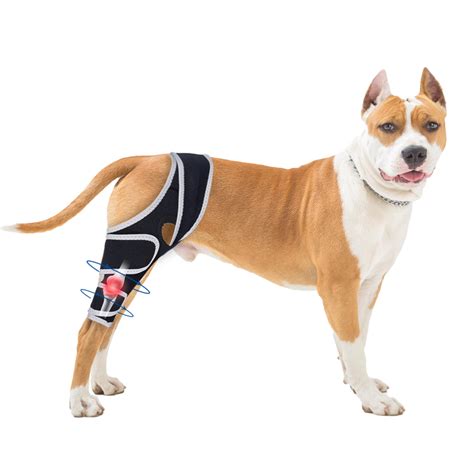 Dog Knee Brace for Torn Acl Hind Leg - Relieves Ligament Injury and