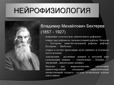 Основы нейрофизиологии - презентация онлайн