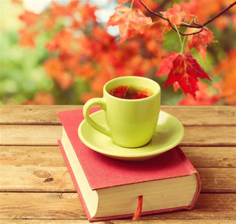 Autumn Books Wallpapers - Top Free Autumn Books Backgrounds