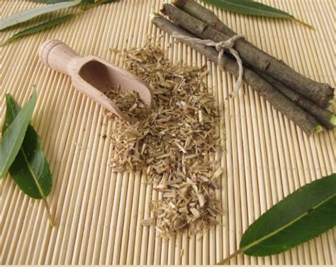 willow bark natures analgesic  thenaturehill home  organic