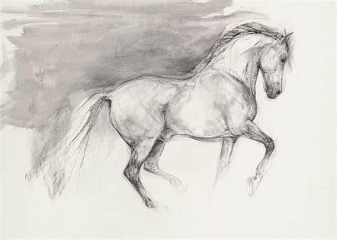 Voltaire | Lydia Kiernan Art
