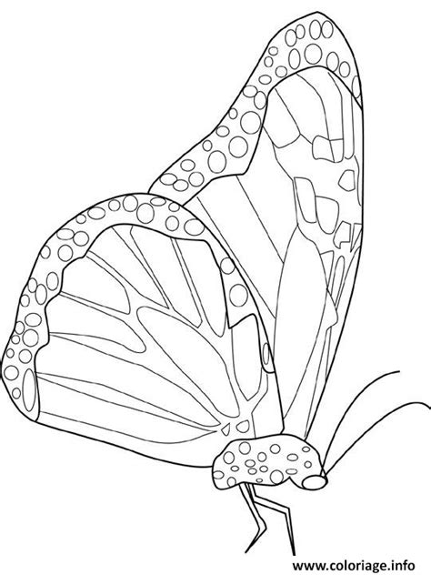 coloriage de papillon monarque - Observer