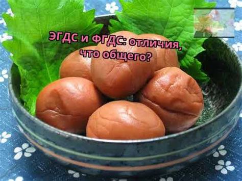 ЭГДС и ФГДС: отличия, что общего? - YouTube