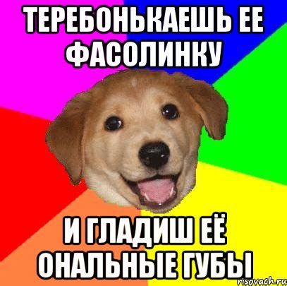Теребонькаешь ее фасолинку и гладиш её ональные губы, Мем Advice Dog ...