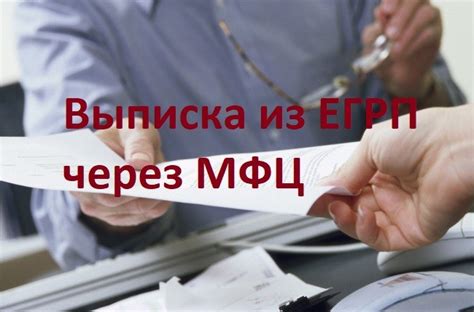 Выписка из ЕГРН в МФЦ, как заказать и получить выписку из ЕГРН в МФЦ ...