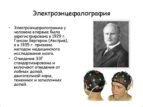 Передний мозг. Промежуточный мозг. Конечный мозг - презентация онлайн