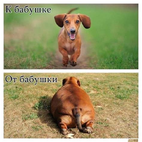 Картинки для оптимизма