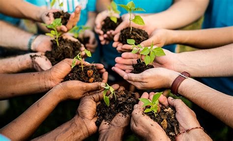 A importância do Dia Mundial do Meio Ambiente - Mundo Isopor®