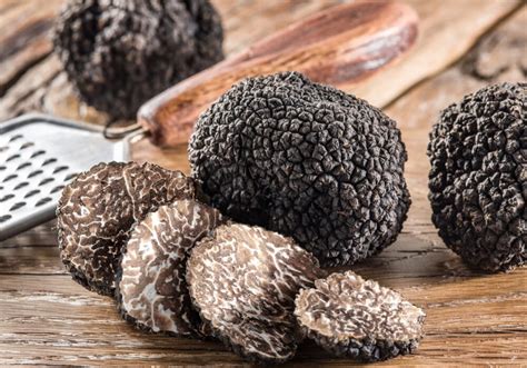 Come conservare il tartufo La guida alle varie metodologie Stelvietti