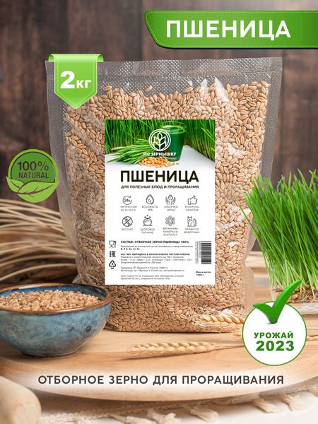 Пшеница для проращивания, ростки пшеницы, зерно, витграсс, микрозелень ...