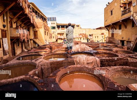 worker standing  traditional leather tanning pits   famous