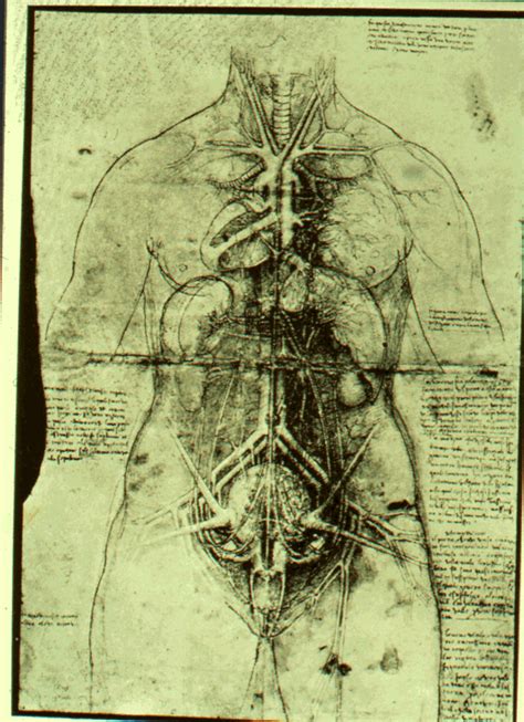Female Body