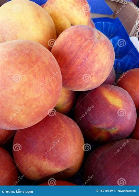 frech fruit stock image image  vitamins colors sale