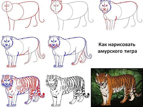 как рисовать тигра - Поиск в Google | Тигр, Как рисовать, Рисовать