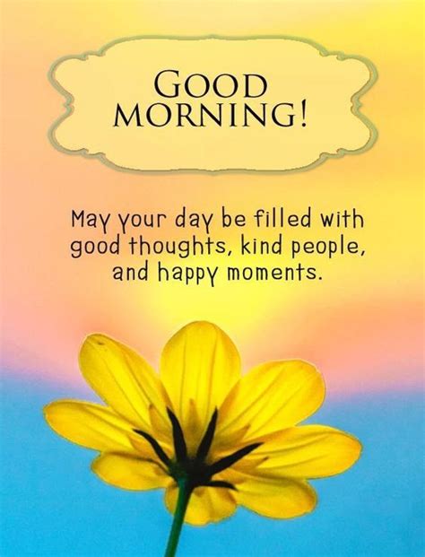 60 Good Morning Sunshine Quotes, Images & Pictures – The Random Vibez