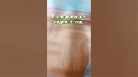 спачбоб на шолся - YouTube