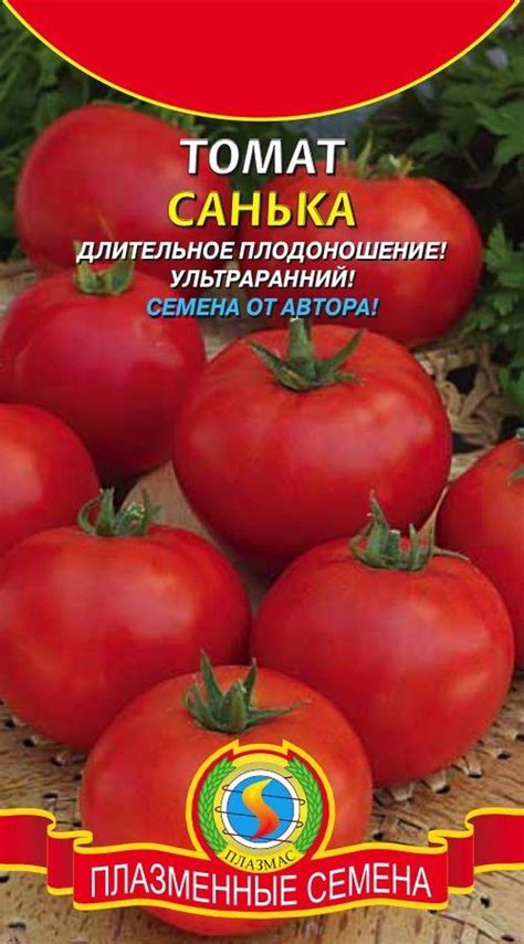 Томат «Санька». Отзывы. Фото, кто сажал