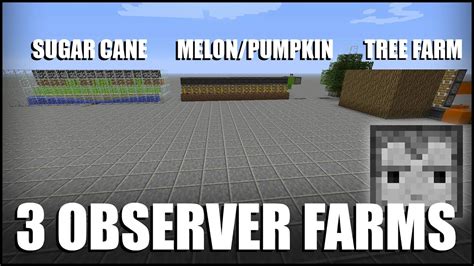 3 Observer Block Farms in Minecraft - YouTube
