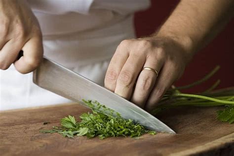 Quick Guide To Chopping Knives | Steel Snob