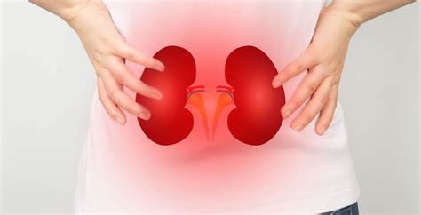 Kidney Failure: Causes, Symptoms & Treatment Options