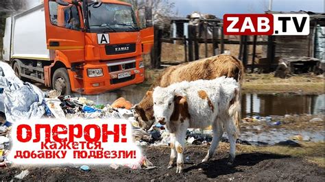 «Олерон» неделю не убирает созданную им же свалку - YouTube