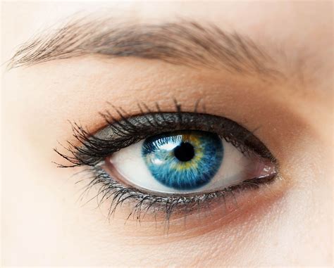 eye