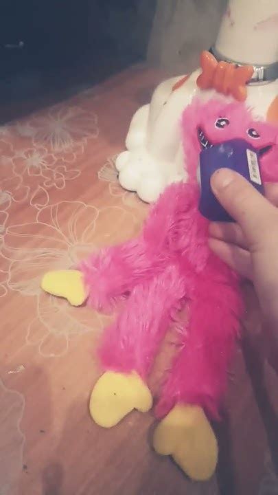 Моя Киси миси всë время хочет жрать😂🥠🍢🍡🍧🍨🍦🥧🍫🍬🍭🍮🎂🍰🧁🍿🍩🥟🦪🍪🍯🥛🧋 - YouTube