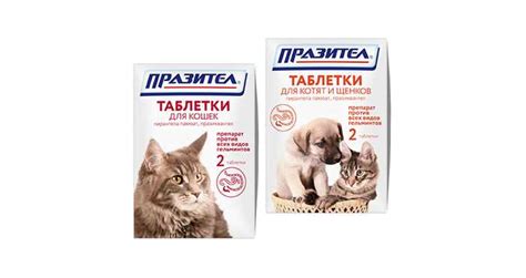 Таблетки от глистов для кошек: эффективные средства, плюсы и минусы ...