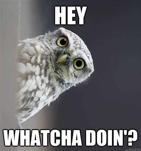 hey whatcha doin memes | quickmeme
