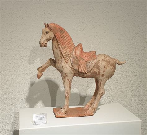 Proantic: Large Tang Dynasty Horse - 47.5 Cm - Certificate