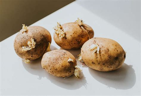 Can You Eat Sprouted Potatoes?