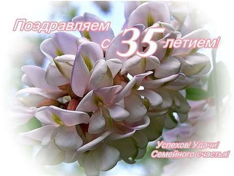 С днем рождения 35 лет девушке прикольные картинки
